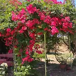 Σπίτι διακοπών Megris Country *