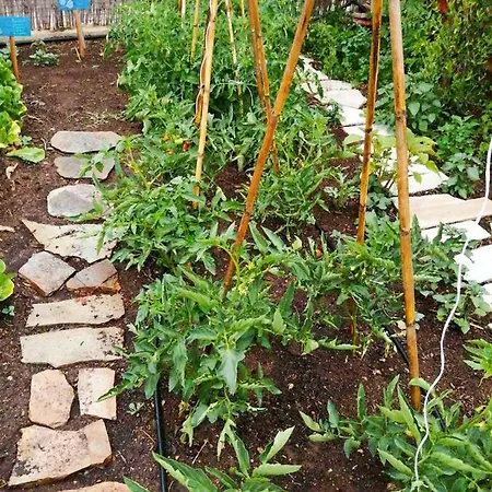 Megris Country Vakantiehuis Vingláfia