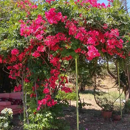 Feriehus Megris Country *