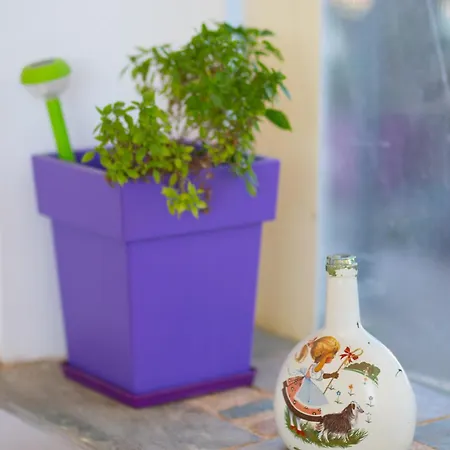 Megris Country Сasa de vacaciones Vingláfia