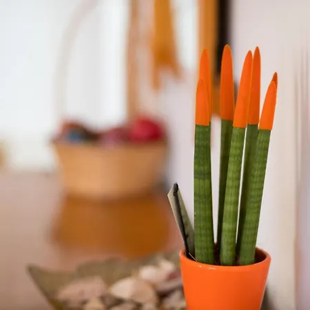 Megris Country * Vingláfia