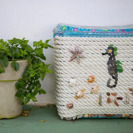 Megris Country * Vingláfia