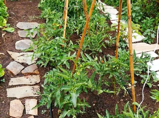 Megris Country Holiday home Vinglafia