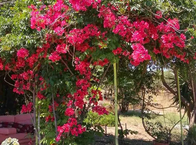 Casa de Férias Megris Country *