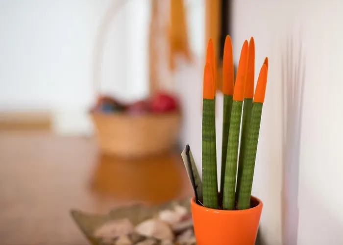 Megris Country * Vingláfia